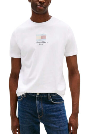 Tommy Hilfiger - Tommy Hilfiger Hombre Camisetas