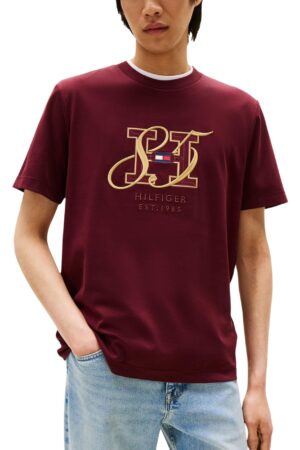 Tommy Hilfiger - Tommy Hilfiger Hombre Camisetas